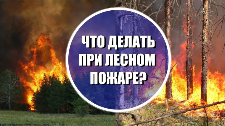 Правила поведения населения при лесных пожарах. Правила поведения населения при лесных пожарах.